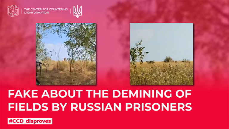 Fake about the demining of fields by russian prisoners