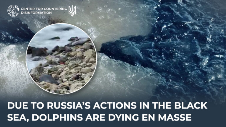 Due to russia’s actions in the Black Sea, dolphins are dying en masse