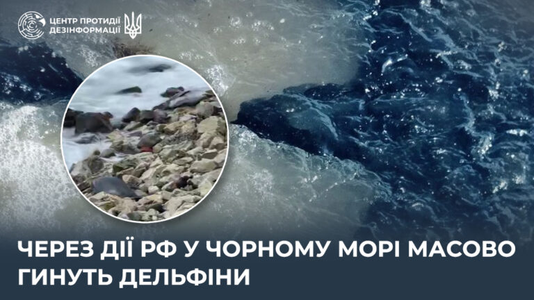 Через дії рф у Чорному морі масово гинуть дельфіни