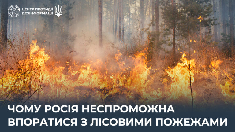 Чому росія неспроможна впоратися з лісовими пожежами