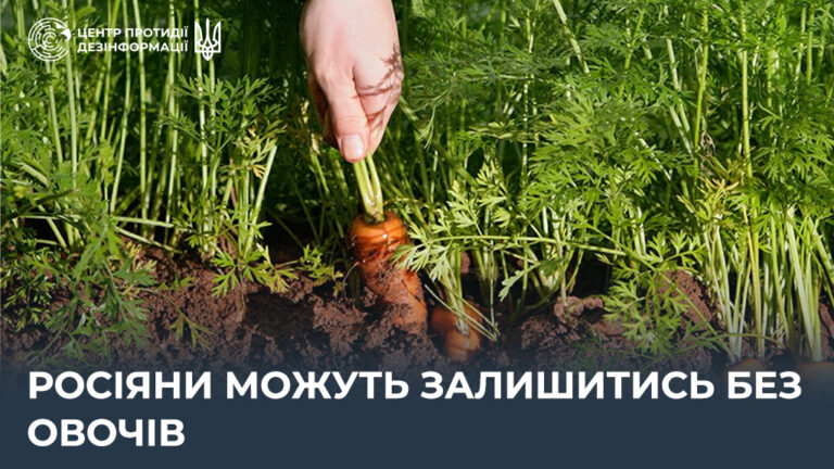 росіяни можуть залишитись без овочів