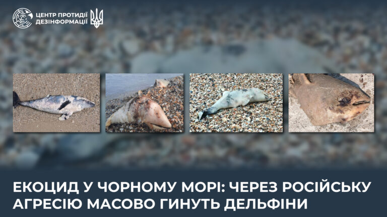 Екоцид у Чорному морі: через російську агресію масово гинуть дельфіни