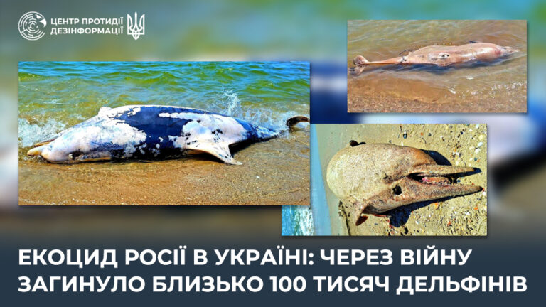 Екоцид росії в Україні: через війну загинуло близько 100 тисяч дельфінів